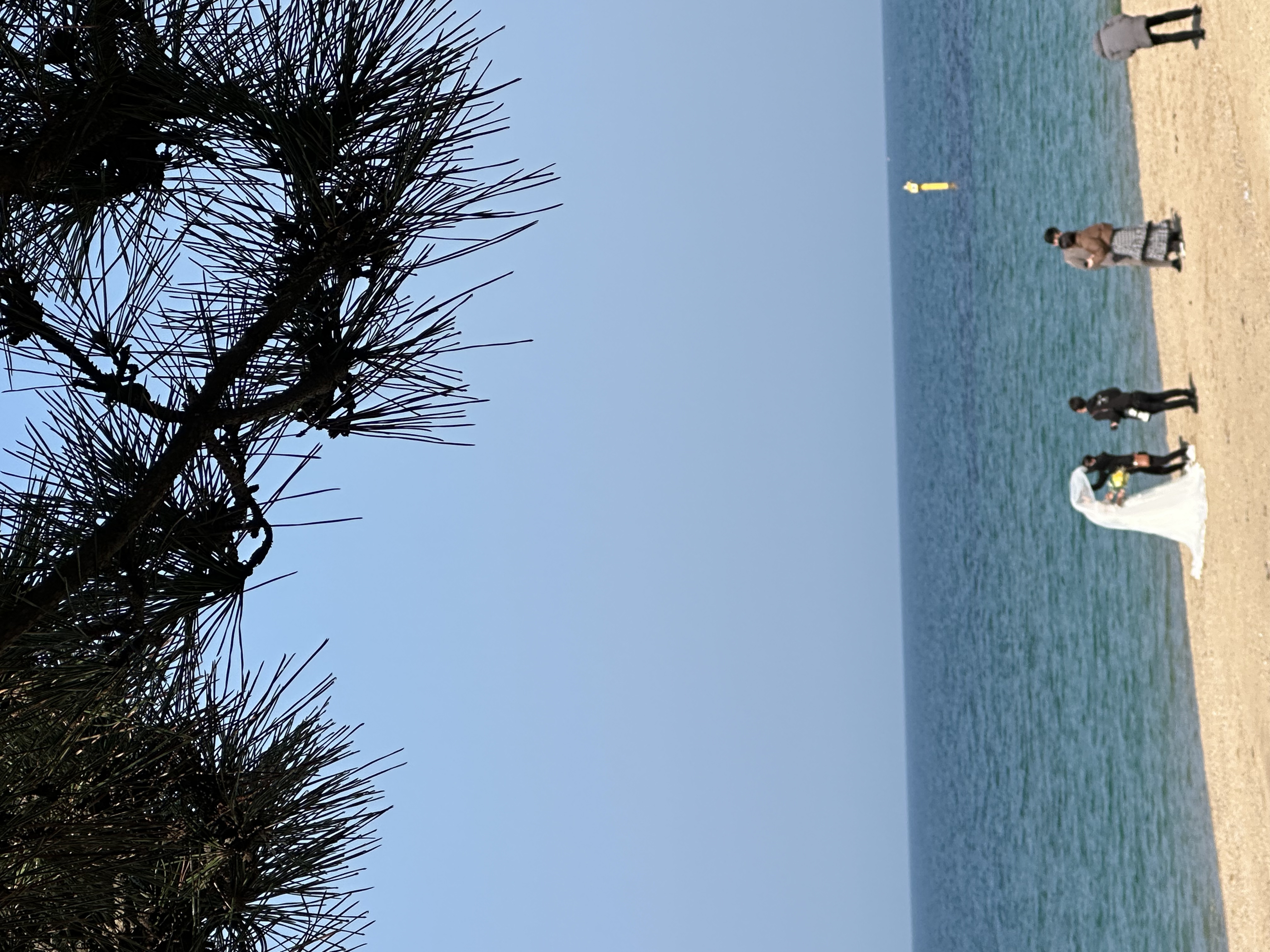 静谧海岸疗愈空间